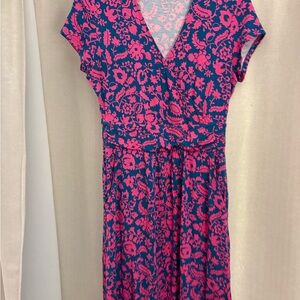 Biden Pink and Blue Women's Dress